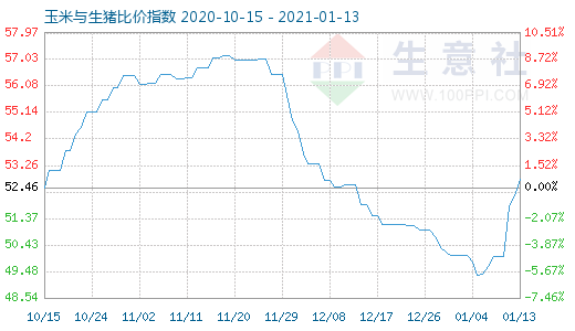 1月13日玉米與生豬比價指數圖