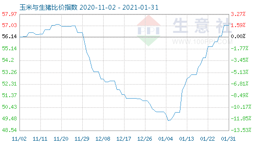1月31日玉米與生豬比價指數圖