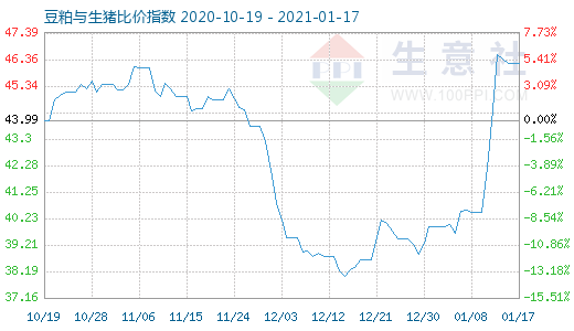1月17日豆粕與生豬比價指數圖