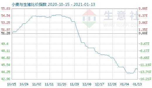 1月13日小麥與生豬比價指數圖