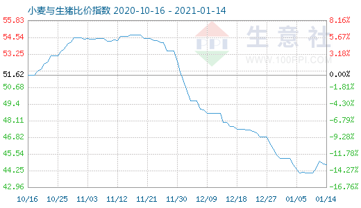 1月14日小麥與生豬比價指數圖