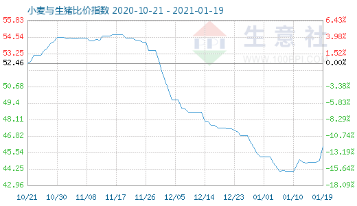 1月19日小麥與生豬比價指數(shù)圖