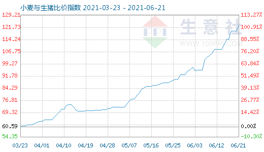 6月21日小麥與生豬比價指數圖